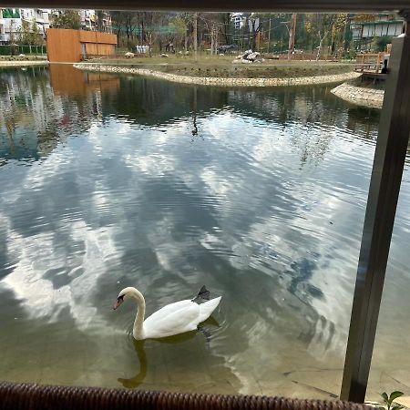 Mb Luxury Apartments 地拉那 外观 照片